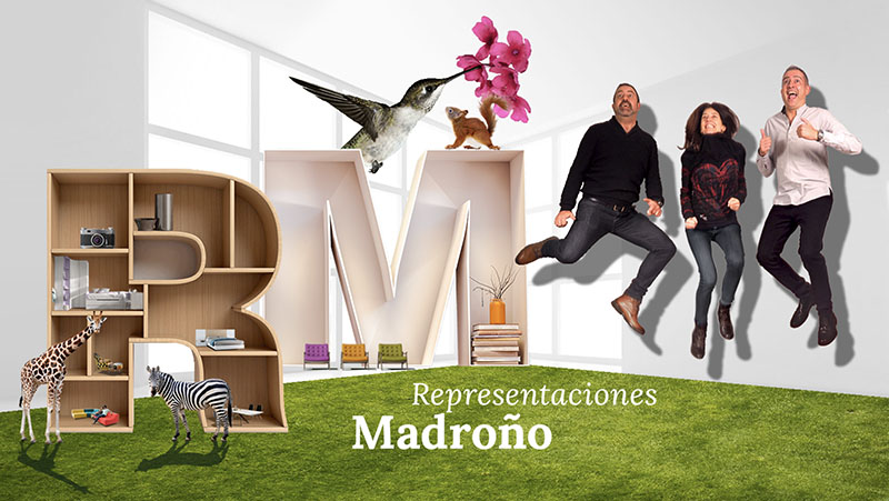 Ejemplo de diseño web premium para Representaciones Madroño