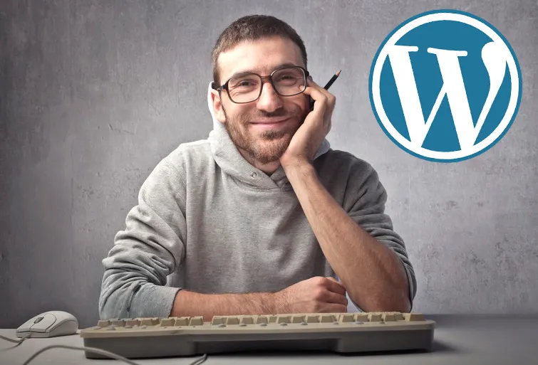 Características de un diseñador WordPress: ¿Qué puede hacer en mi web?. webartesanal.com